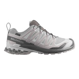 SALOMON XA PRO 3D V9 GTX(L49199100) - Alloy/Castlerock/Lunar Rock